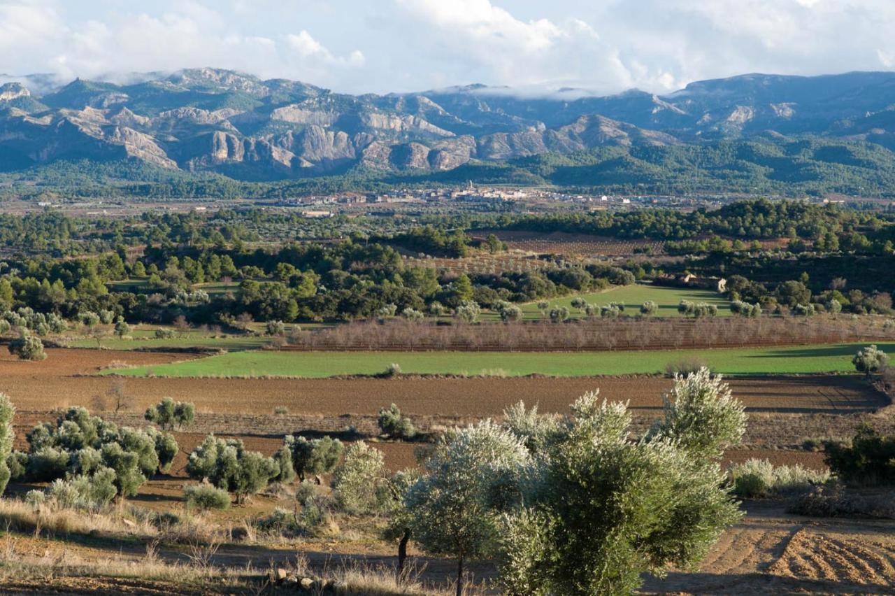 Hostal Can Barrina Arnés Εξωτερικό φωτογραφία