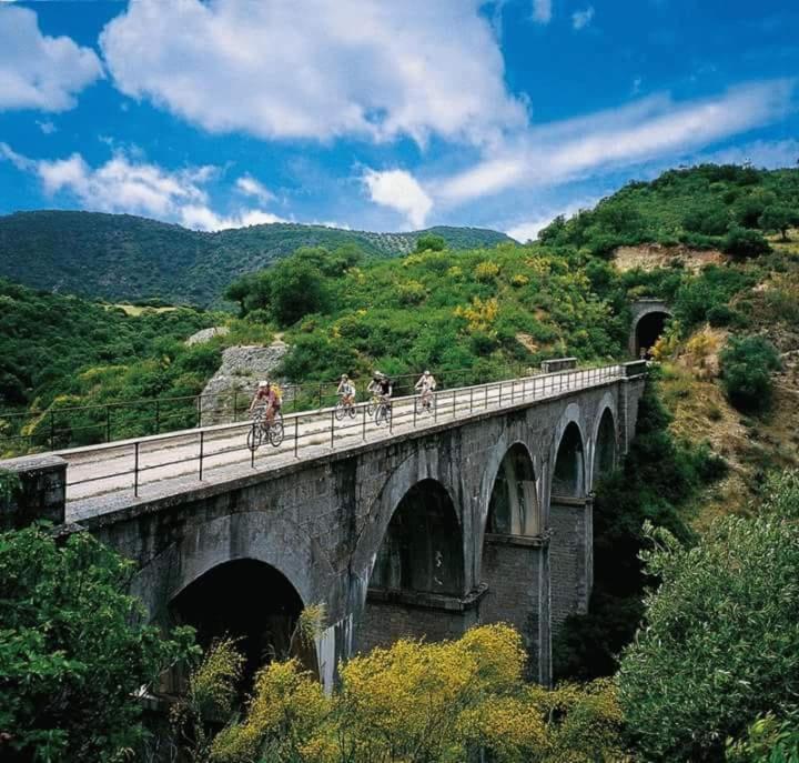 Hostal Can Barrina Arnés Εξωτερικό φωτογραφία