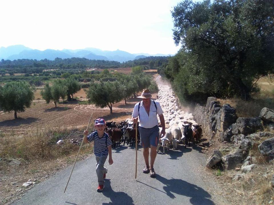 Hostal Can Barrina Arnés Εξωτερικό φωτογραφία
